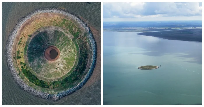 Провал людей — подарок природе: история острова-пончика, ставшего домом для птиц