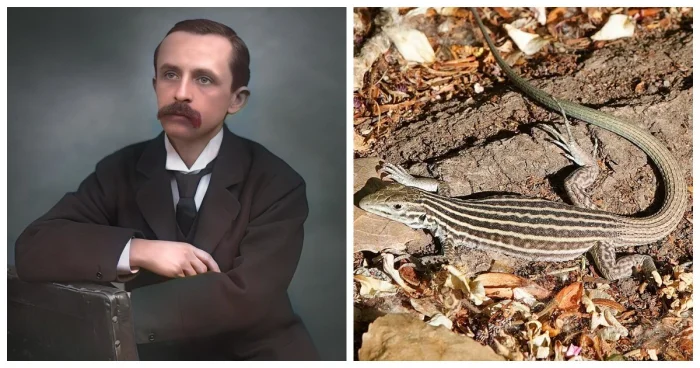 Реальные факты, которые похожи на безумную выдумку