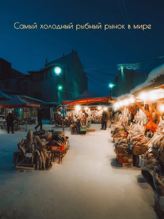 ❄️ Рынок, где мёрзнет даже рыба