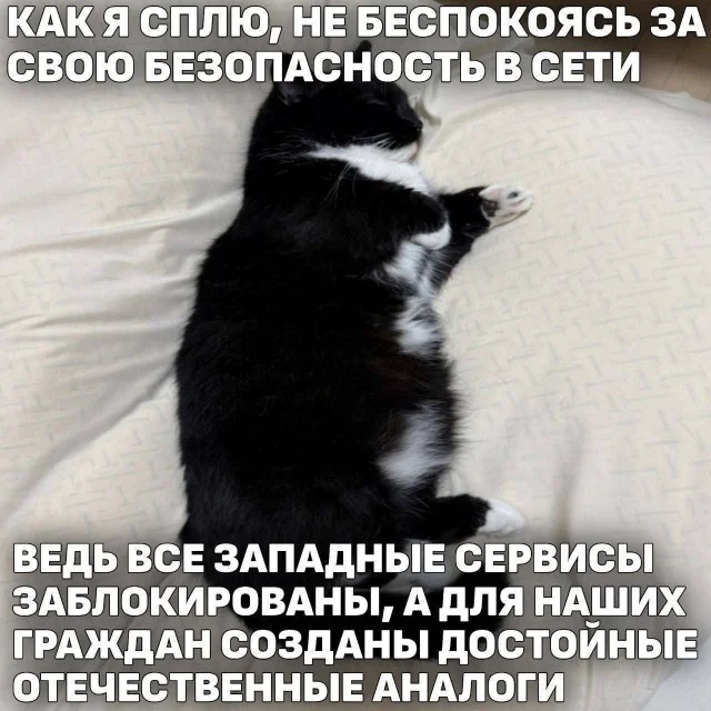 Смех сквозь картинки: забавные моменты