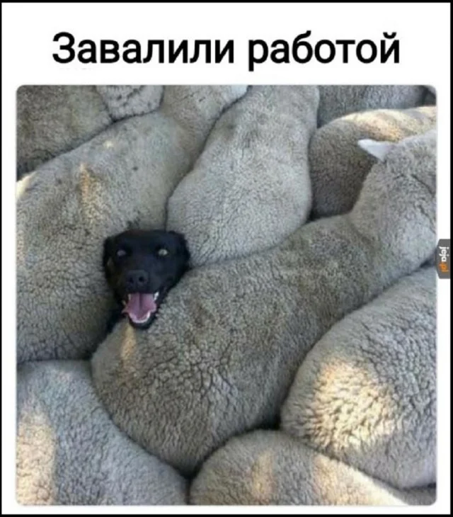 Смешная подборка