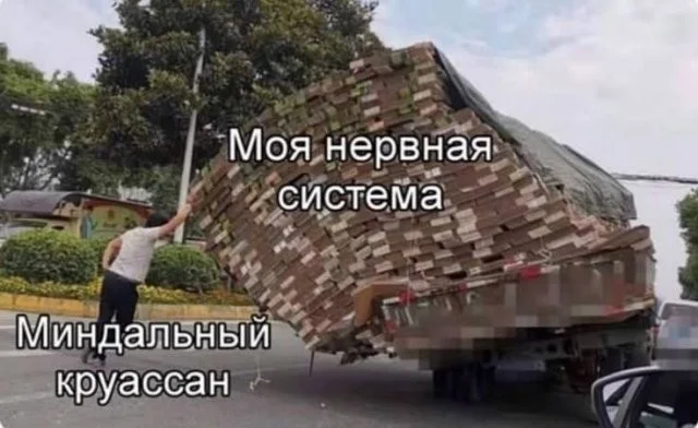 Смешно до слёз: лучшие картинки и мемы