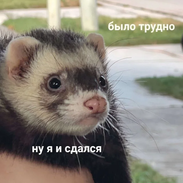 Смешное из Сети