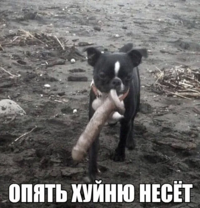 Смешной пост