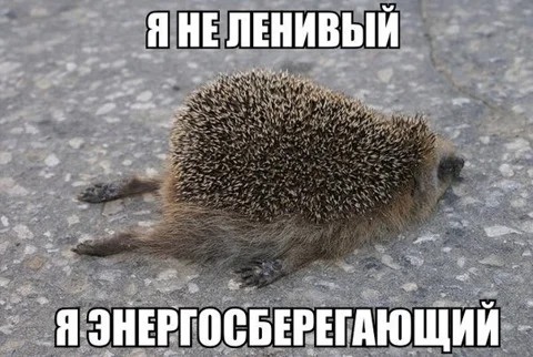 Смешные фразы, цитаты и высказывания, которые поднимают настроение