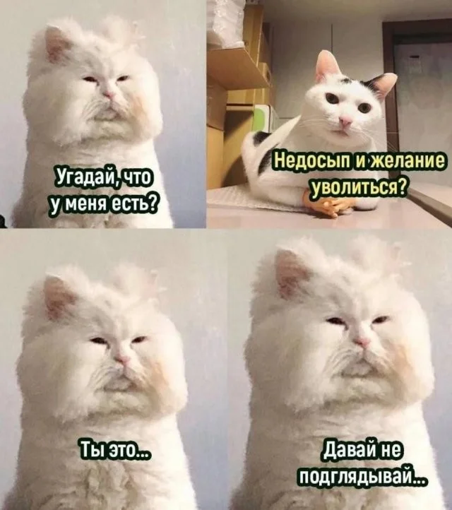 Смешные картинки из сети