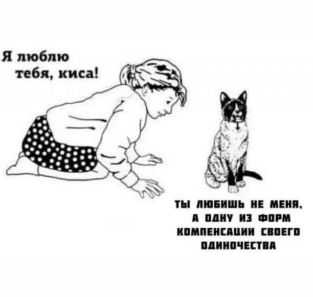 Смешные приколы