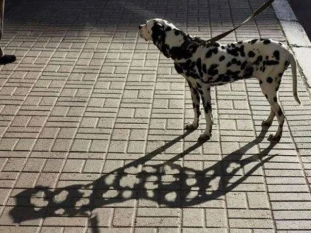 То, что насмешило интернет