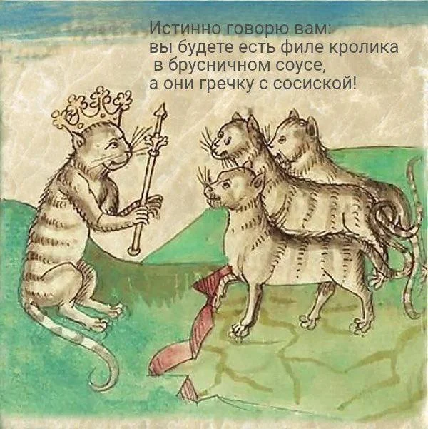 Весёлые иллюстрации