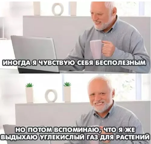 Весёлые картинки и баянчики