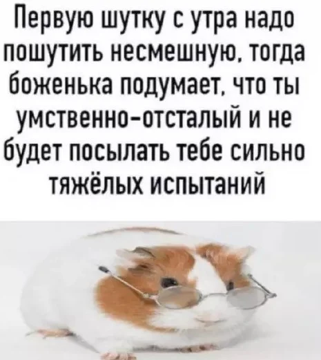 Весёлые картинки и баянчики