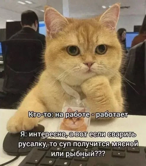 Забавные и смешные картинки