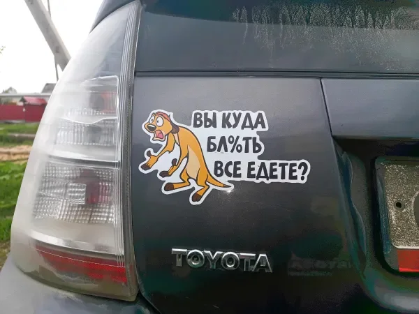 А вы куда?