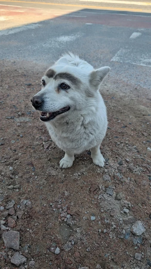 25 добрых и тёплых фото, способных растопить любое сердце