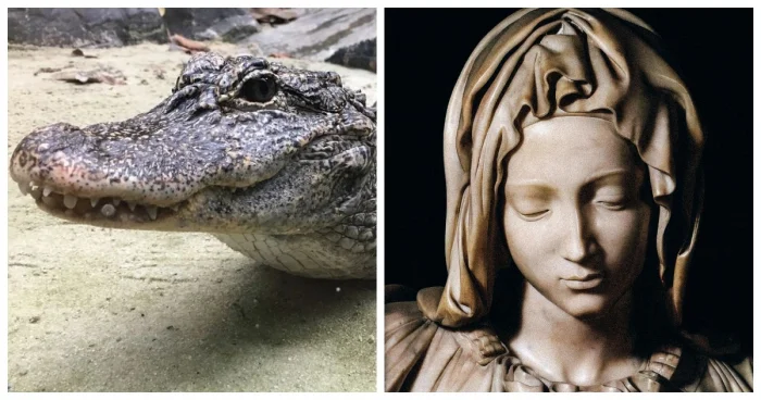 8 фактов, меняющих взгляд на привычные вещи