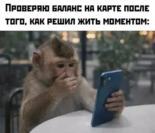 Чисто поржать
