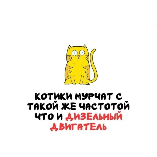 Факты, которые вы точно не знали