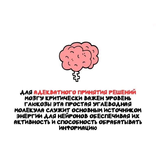 Факты на все случаи жизни