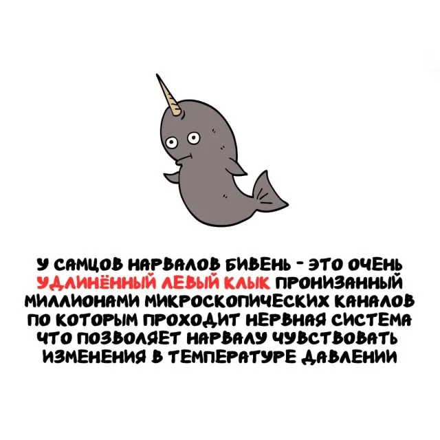 Факты на все случаи жизни