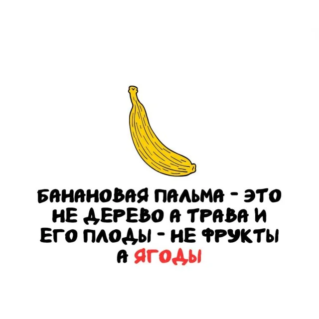 Интересные факты обо всём на свете