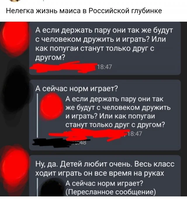 Юмора немного
