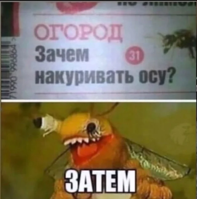 Капелька юмора