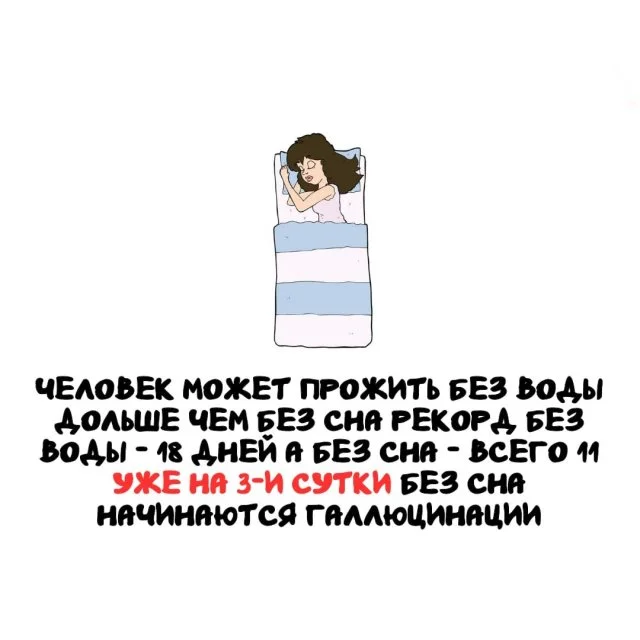 Необычные факты, которые всегда найдут применение