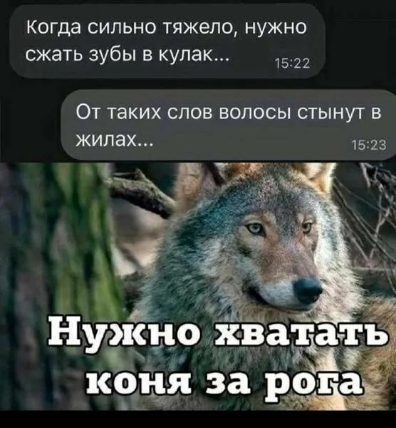 Подборка мемов, баянов и забавных картинок