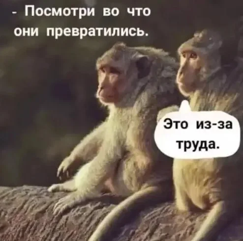 Порция смеха прямо в ленту