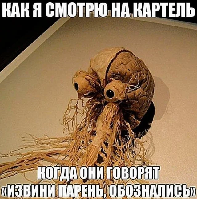 Пост с подборкой смешных картинок