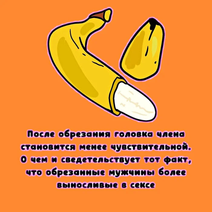 Сексуальная правда: 15 фактов, которым не научат в школе #313