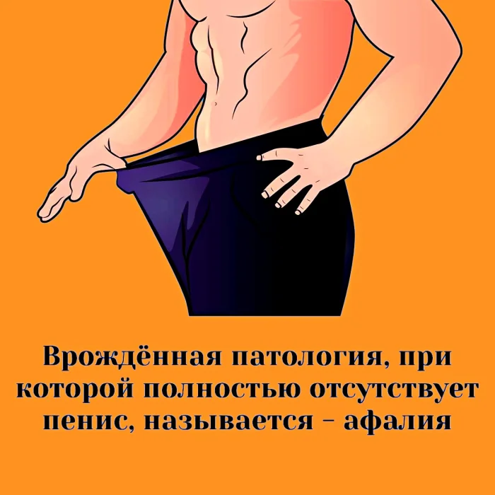Сексуальная правда: 15 фактов, которым не научат в школе #323