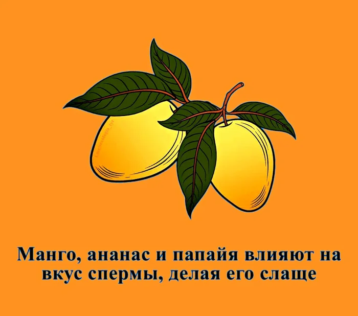 Сексуальная правда: 15 фактов, которым не научат в школе #328