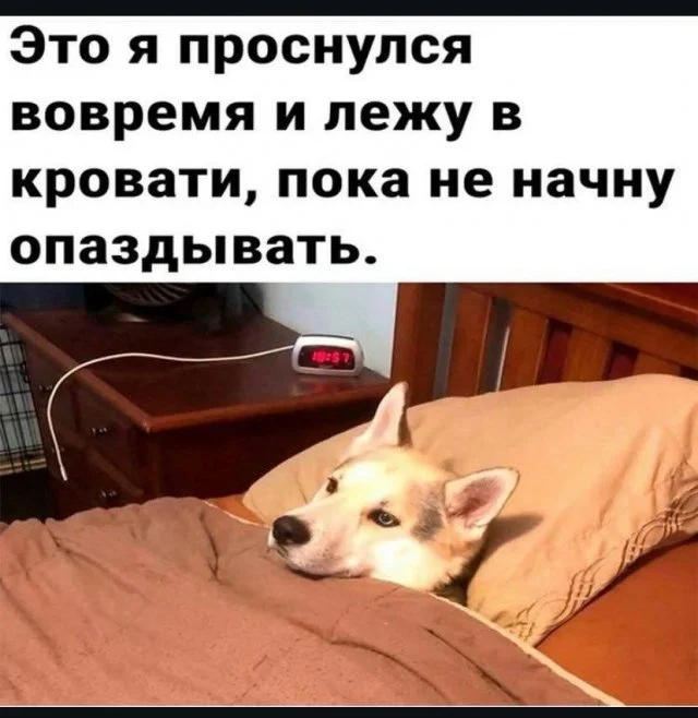 Шутки и мемы из Сети