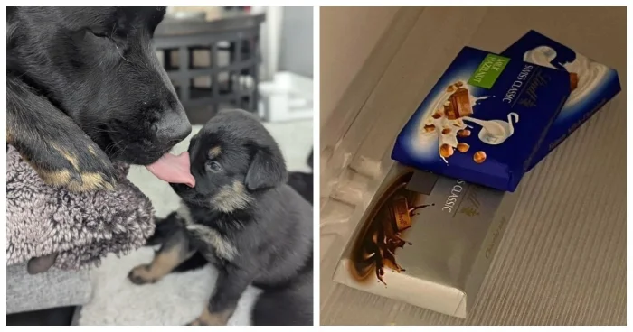 Шутки реальности в фото