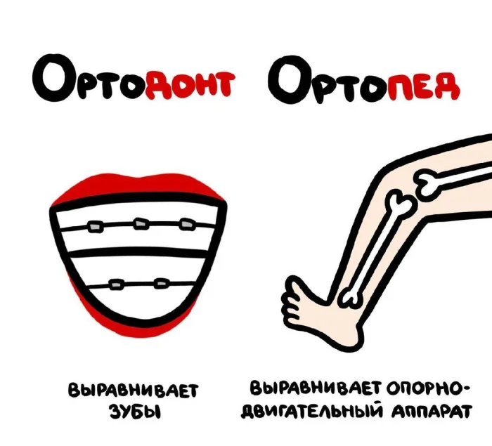 Слова, которые часто путают: в чём разница #38