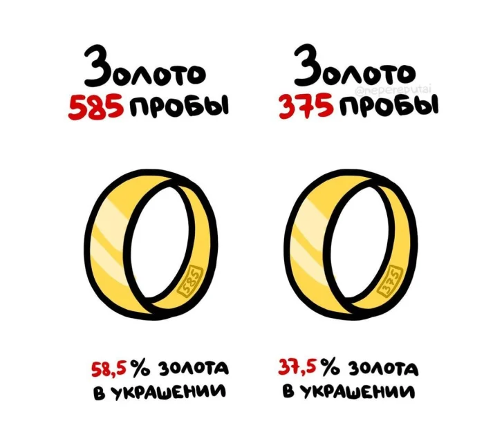Слова, которые часто путают: в чём разница #40