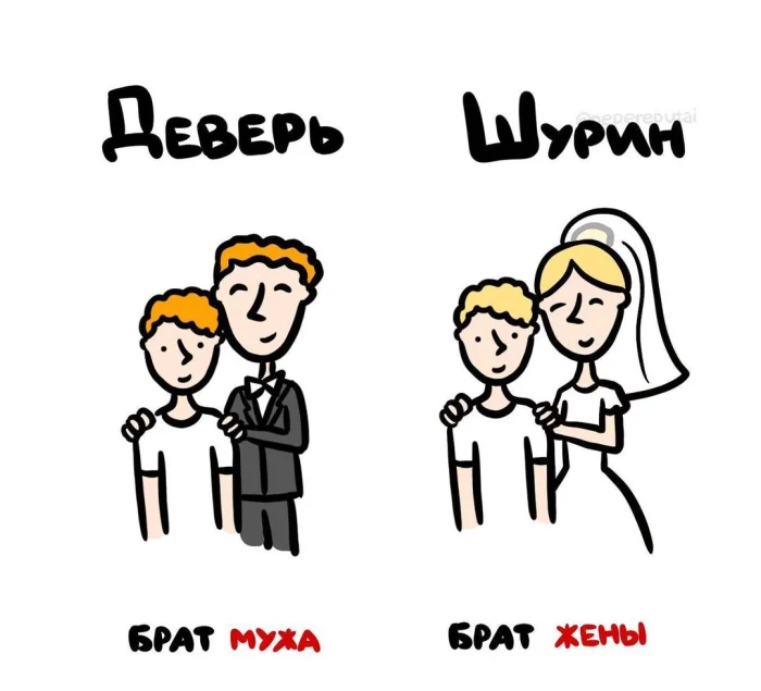 Слова, которые часто путают: в чём разница #40