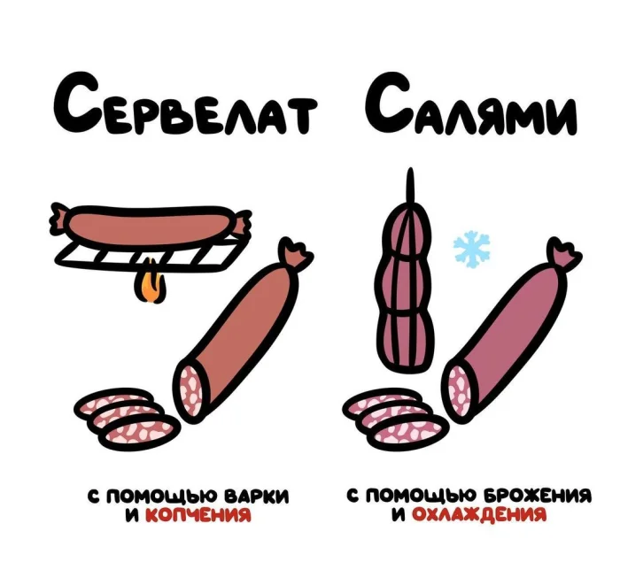 Слова, которые часто путают: в чём разница #44