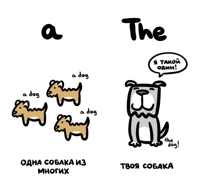 Слова, которые часто путают: в чём разница #44