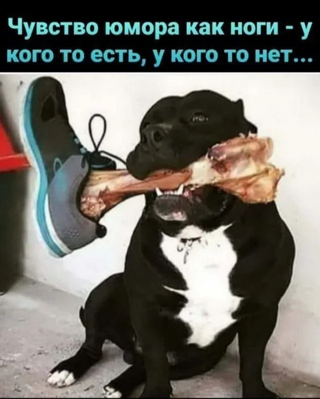 Смешное, странное и очень жизненное