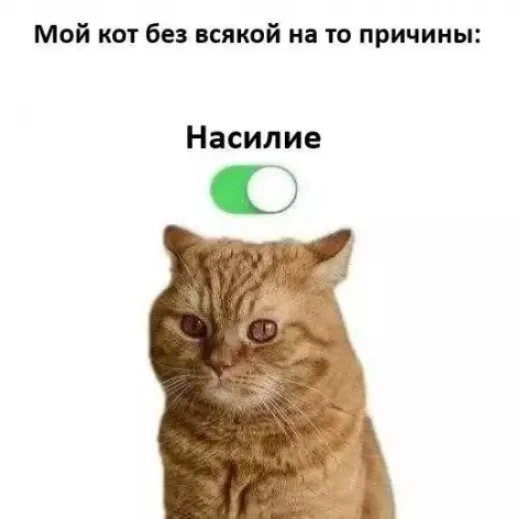 Смешные картинки для настроения