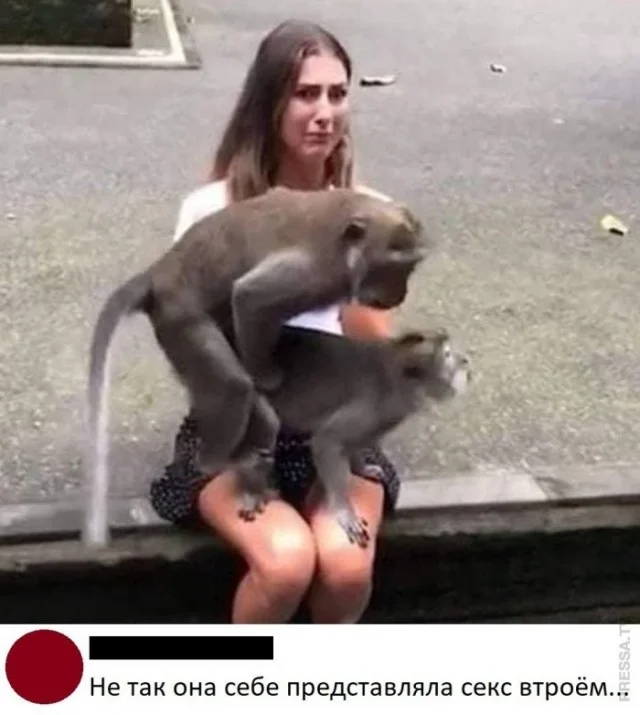 Уровень юмора: смеюсь с того, что даже объяснить стыдно