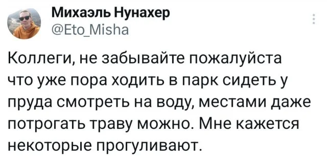 Забавные факты