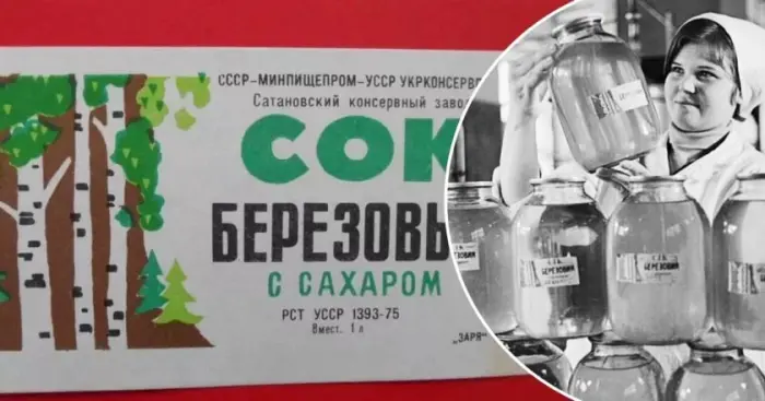 Чем на самом деле был берёзовый сок в советских магазинах