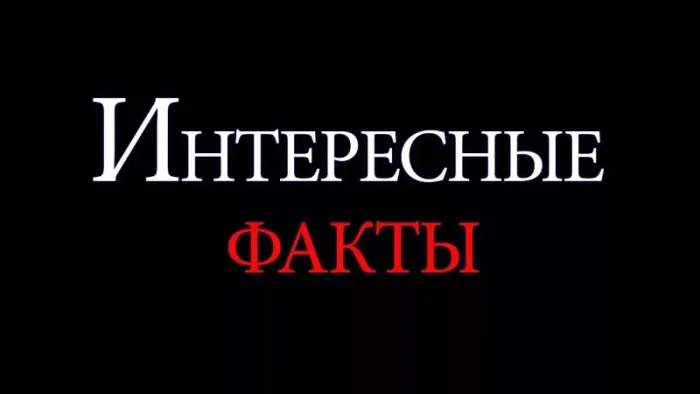 Забавные факты о мире, в которые сложно поверить