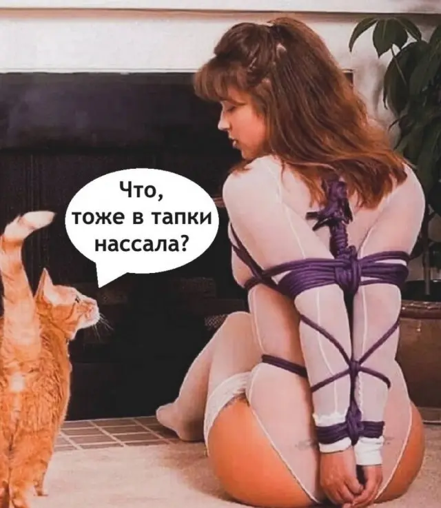 Веселые картинки