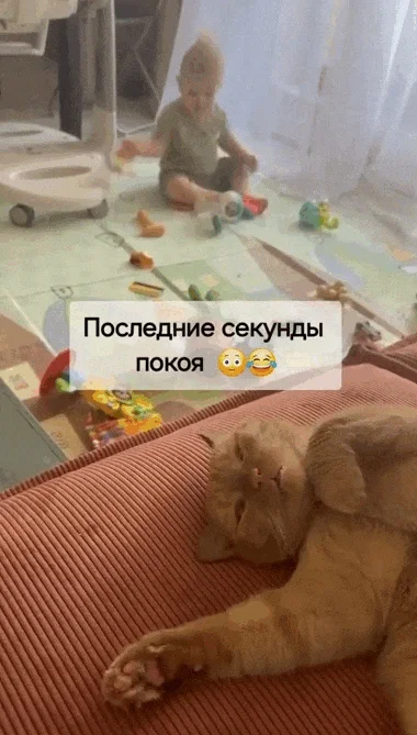 Гифки для хорошего настроения