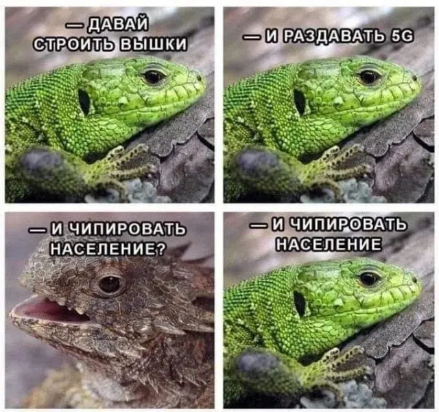 Лучшие шутки и мемы из интернета