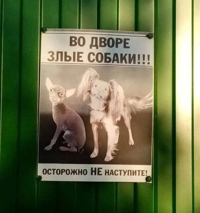 Немного юмора не повредит